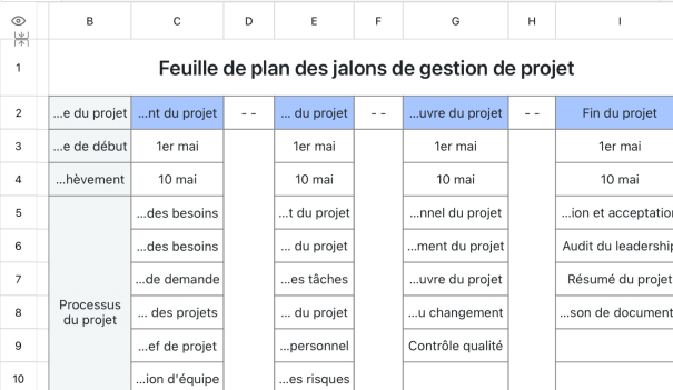 Feuille de plan des jalons de gestion de projet